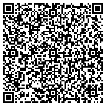 QR-код с контактной информацией организации Шара Биз, ЧП