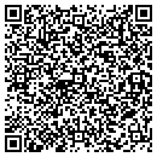 QR-код с контактной информацией организации Бабайка, ООО