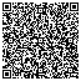 QR-код с контактной информацией организации Сетевик, ООО