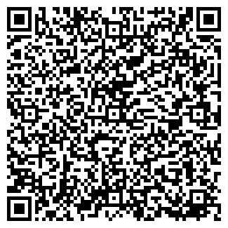 QR-код с контактной информацией организации Newton, ЧП