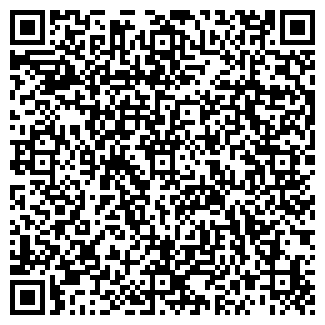QR-код с контактной информацией организации Торгмаг - магазин для магазинов, ЧП