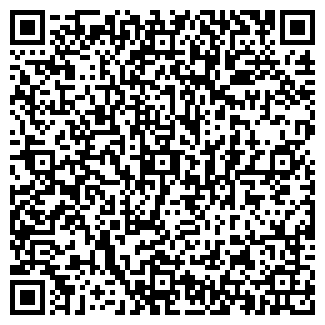 QR-код с контактной информацией организации Gmmo USA, ЧП