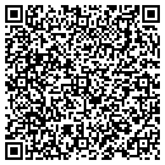 QR-код с контактной информацией организации Водичка, ЧП