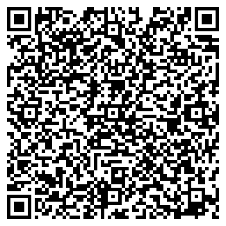 QR-код с контактной информацией организации Минема, ЧП