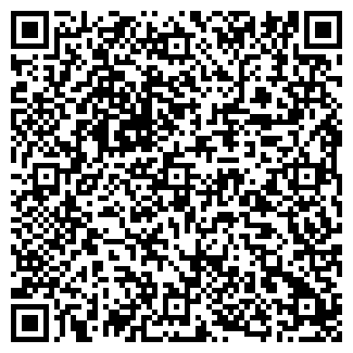 QR-код с контактной информацией организации Жирафка, ЧП - товары для детей