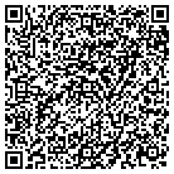 QR-код с контактной информацией организации Алиска, Интернет-магазин