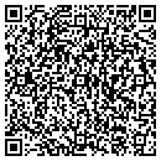 QR-код с контактной информацией организации СНЕЖНЫЙ