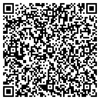 QR-код с контактной информацией организации Домега, ООО