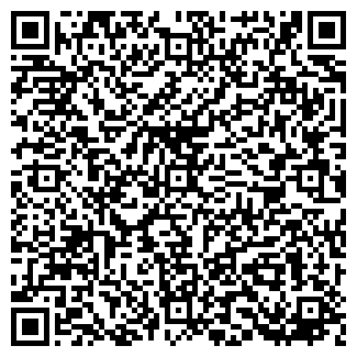 QR-код с контактной информацией организации Гинкул, ЧП