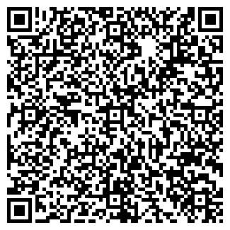QR-код с контактной информацией организации Телмикс, ООО