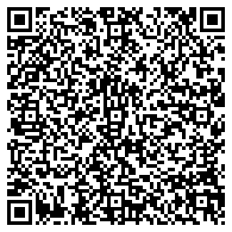 QR-код с контактной информацией организации Смартфон, ООО