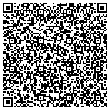 QR-код с контактной информацией организации Магазин Mobile VIP, СПД