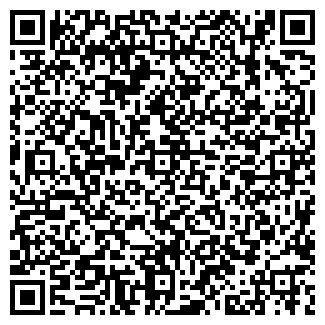 QR-код с контактной информацией организации Боракс, ООО