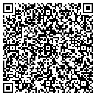QR-код с контактной информацией организации Субъект предпринимательской деятельности ИгроТека