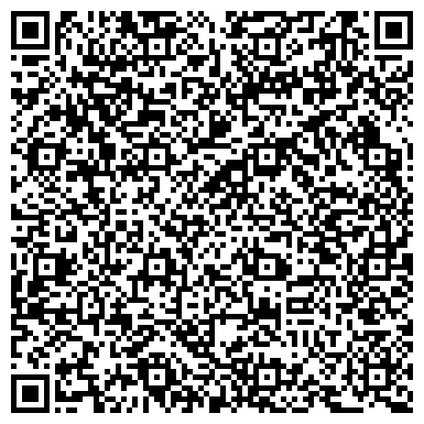 QR-код с контактной информацией организации Про100 Системы, Колесников, СПД