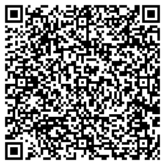 QR-код с контактной информацией организации Мирамида, ЧП