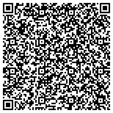 QR-код с контактной информацией организации Бытовая пиротехника Авеню, ООО