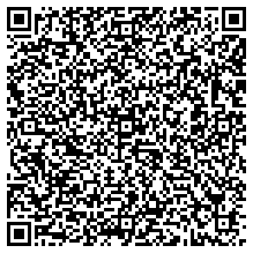 QR-код с контактной информацией организации Феникс Фейерверк, СПД