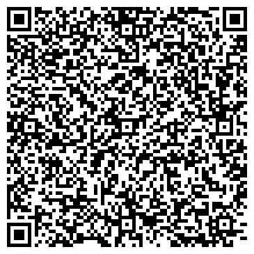 QR-код с контактной информацией организации Небесные шарики, Компания