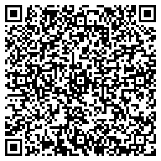 QR-код с контактной информацией организации Волтекс, ООО