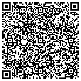 QR-код с контактной информацией организации Gipsy Kings, Компания