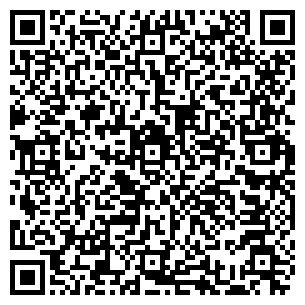 QR-код с контактной информацией организации Веллесгрупп, ООО