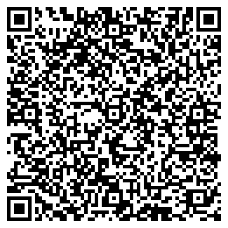QR-код с контактной информацией организации Тильды от Хильды