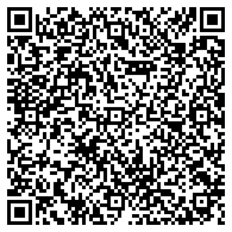 QR-код с контактной информацией организации Субъект предпринимательской деятельности СПД Палий