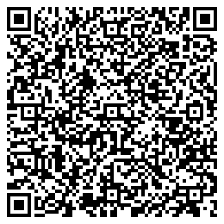 QR-код с контактной информацией организации Birtanem