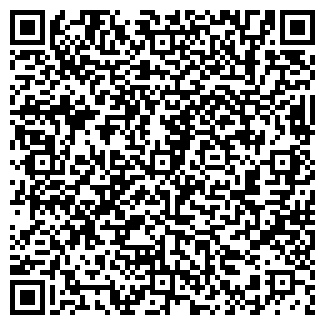 QR-код с контактной информацией организации Ками-МК, ООО