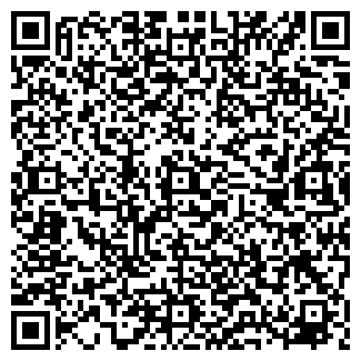 QR-код с контактной информацией организации чп «ДРАЙВ»