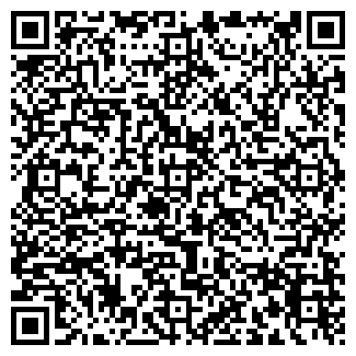 QR-код с контактной информацией организации Лизоформ, ООО