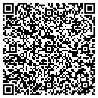 QR-код с контактной информацией организации Мирсул, ИП