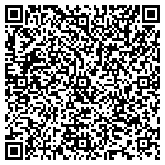 QR-код с контактной информацией организации Айшолпан, ИП