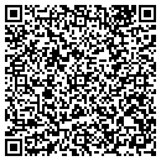 QR-код с контактной информацией организации Бора, ООО