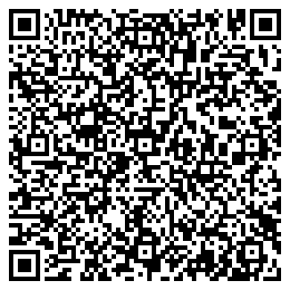 QR-код с контактной информацией организации Боровик, ЧП