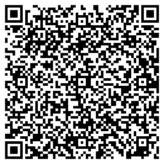 QR-код с контактной информацией организации Викис, ООО