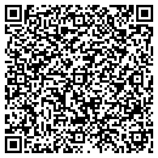 QR-код с контактной информацией организации Шкляр, ЧП