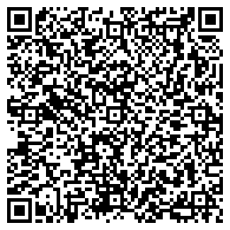 QR-код с контактной информацией организации Фиеста, ООО