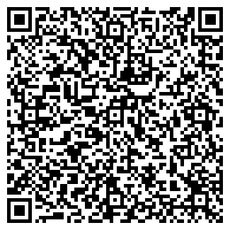 QR-код с контактной информацией организации ЛеймишГруп, ООО