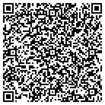QR-код с контактной информацией организации Рокада.Биз, ООО