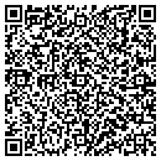 QR-код с контактной информацией организации Ремако, ООО