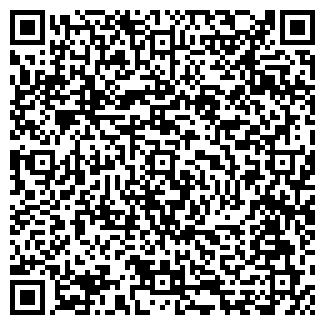 QR-код с контактной информацией организации Пиролиз, ООО