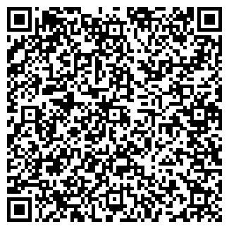 QR-код с контактной информацией организации Алис-експо, ЧП