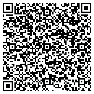 QR-код с контактной информацией организации Ванчугова, ИП