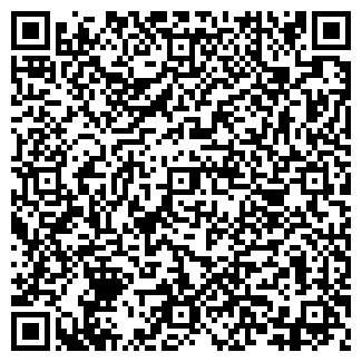 QR-код с контактной информацией организации Субъект предпринимательской деятельности Мой город
