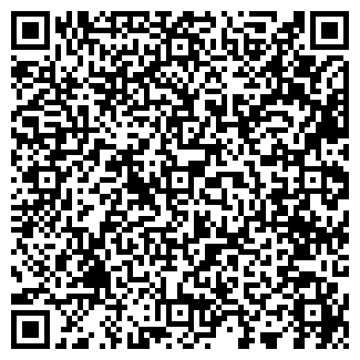 QR-код с контактной информацией организации NovyiDom, ЧП