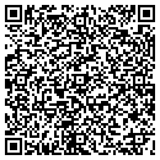 QR-код с контактной информацией организации Субъект предпринимательской деятельности Лисина