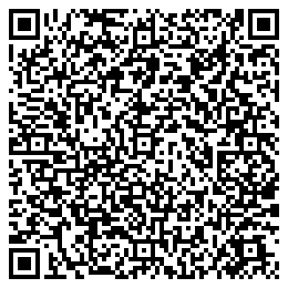 QR-код с контактной информацией организации ТОО "Солимэкс"