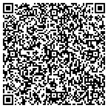QR-код с контактной информацией организации Виссон, ООО